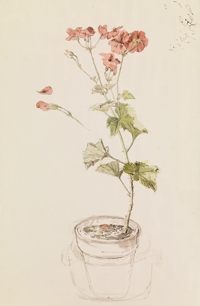 John Sergeant (1937-2010), Geranium