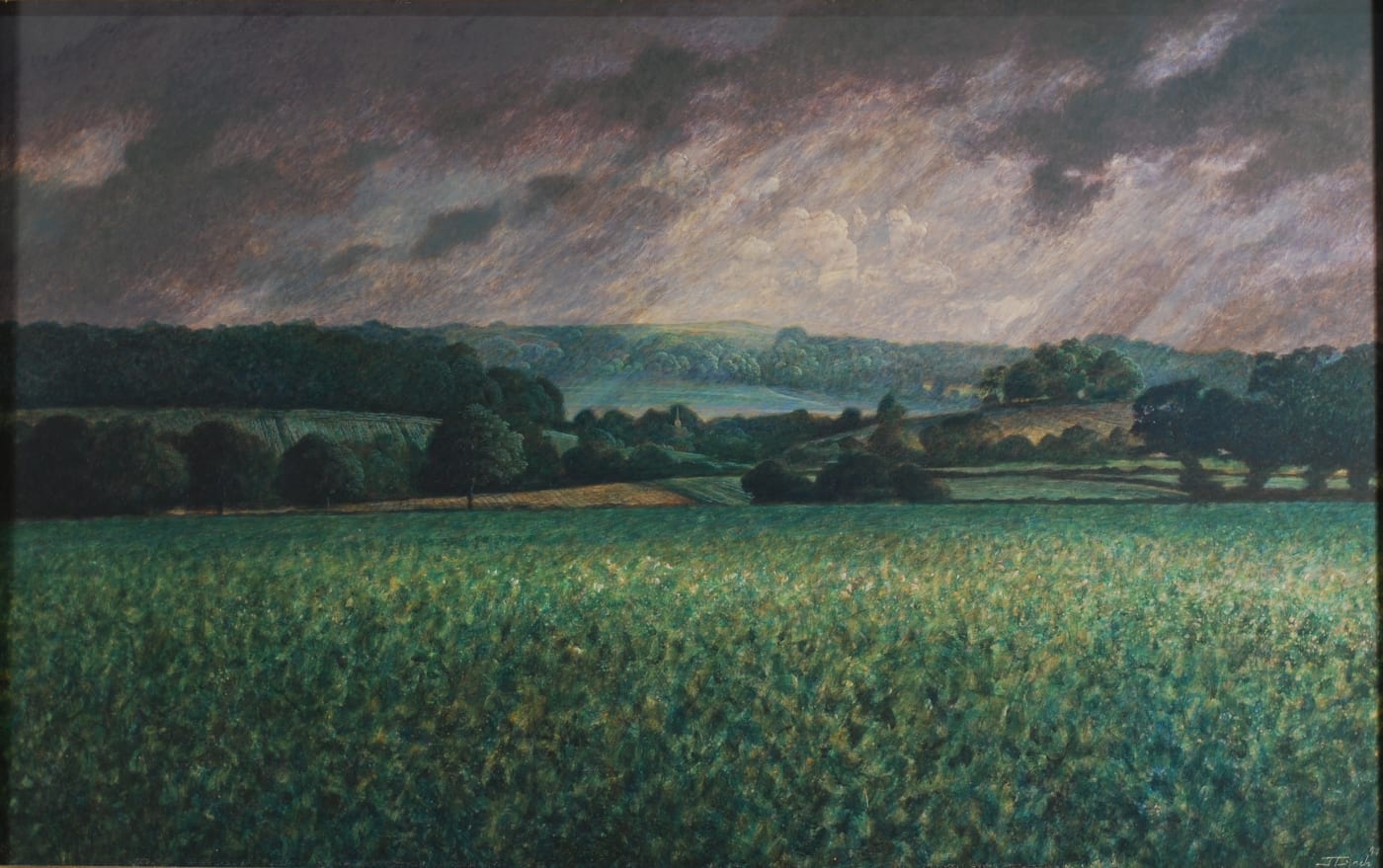 James Lynch (b. 1956), Storm over Compton, Pauncefoot