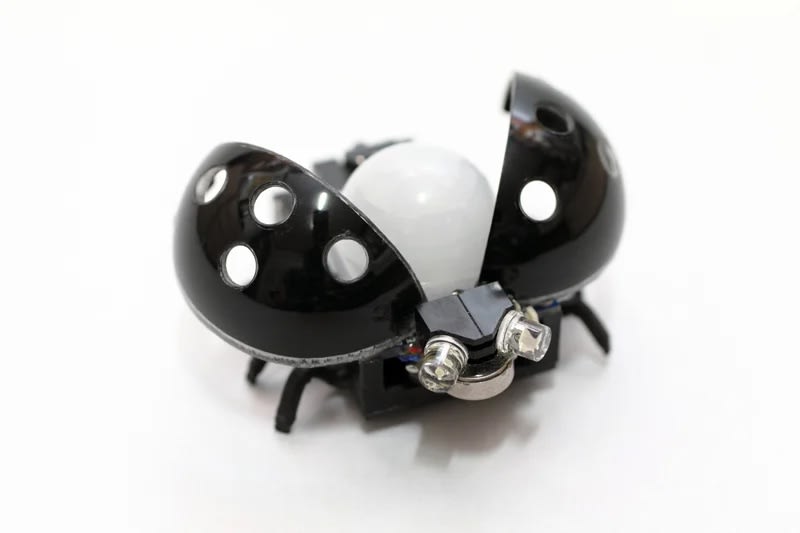 The Robot