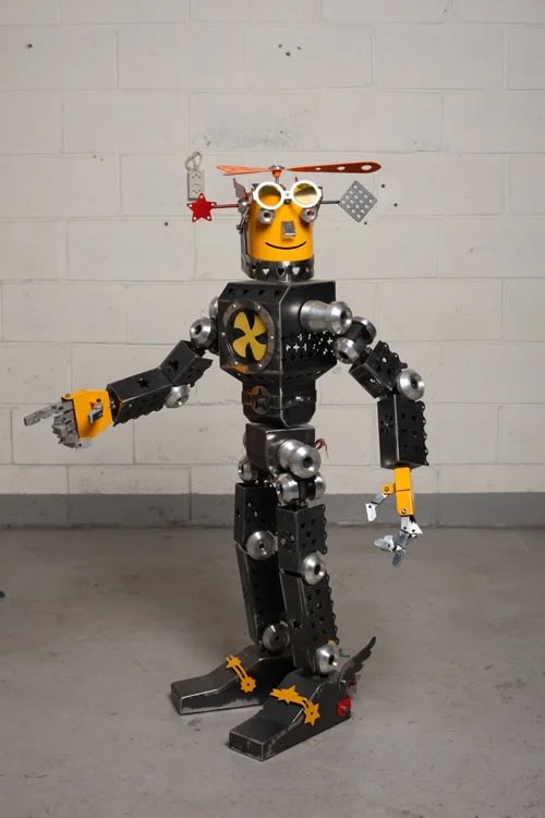 The Robot