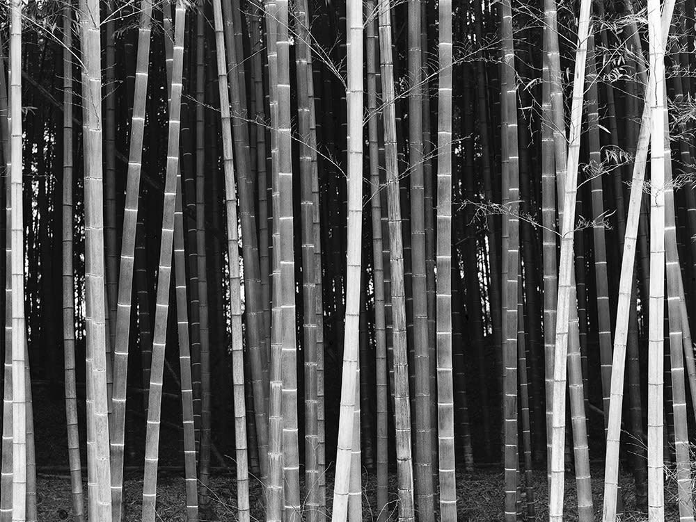 김대수 DaeSoo Kim, everything is...