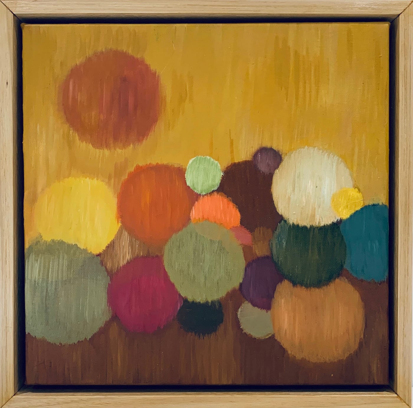 'Fields of Light' Exhibition