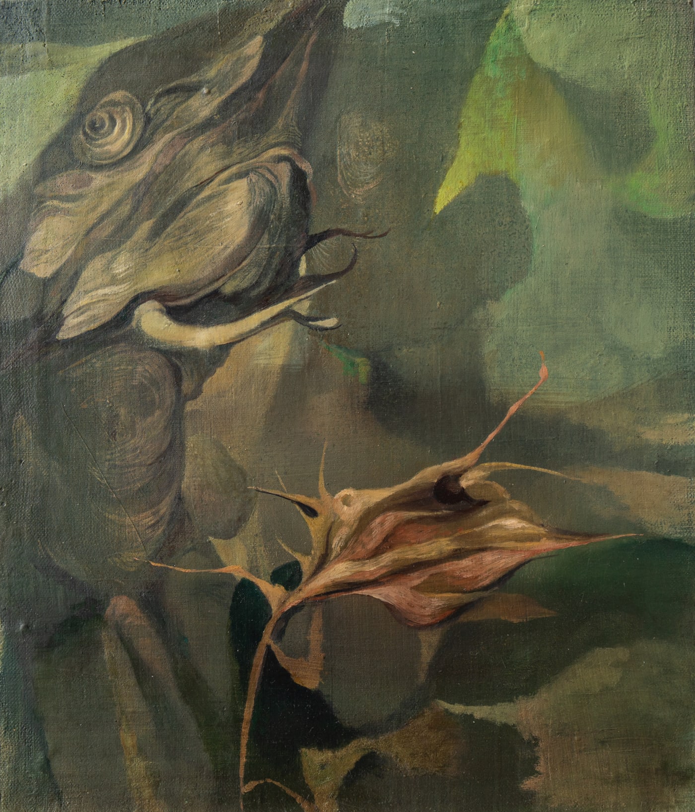 Daria Dmytrenko Swamp Bottom, 2024 Oil on canvas 36 x 31 cm. 14 x 12 in.