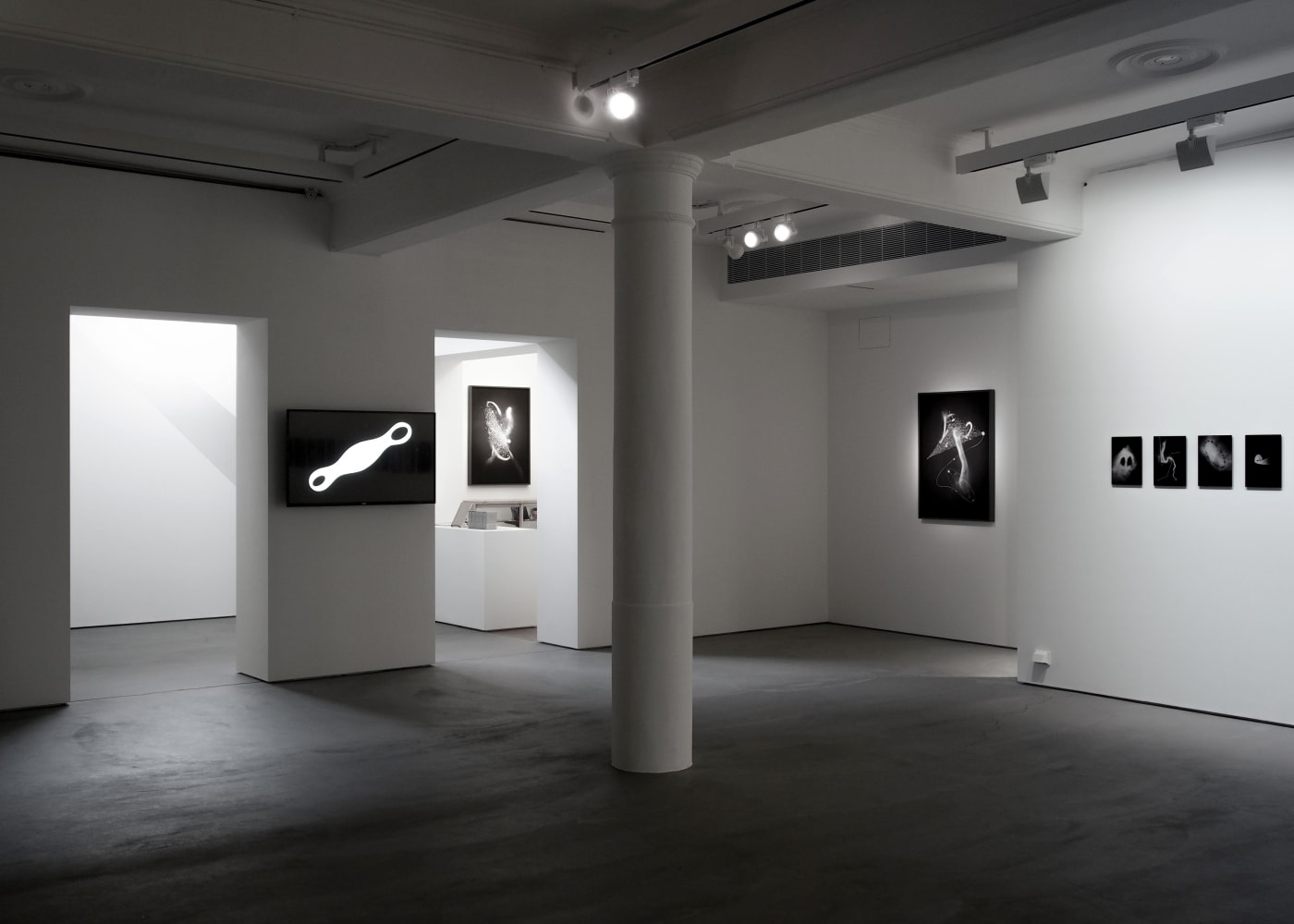 Hiraku Suzuki: The Writing of Meteors