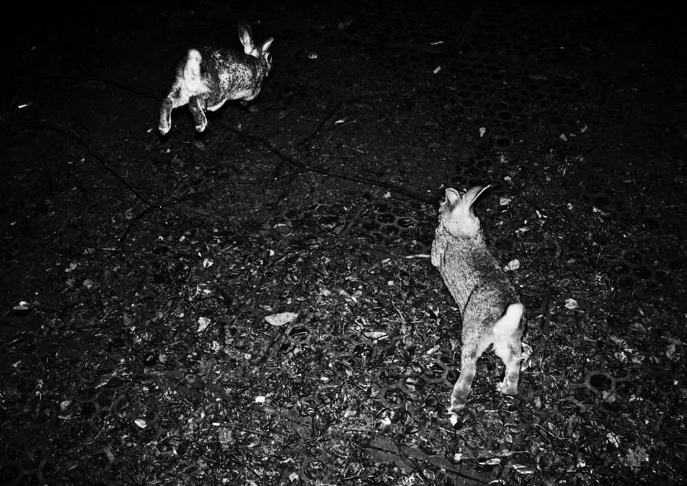 Jacob Aue Sobol