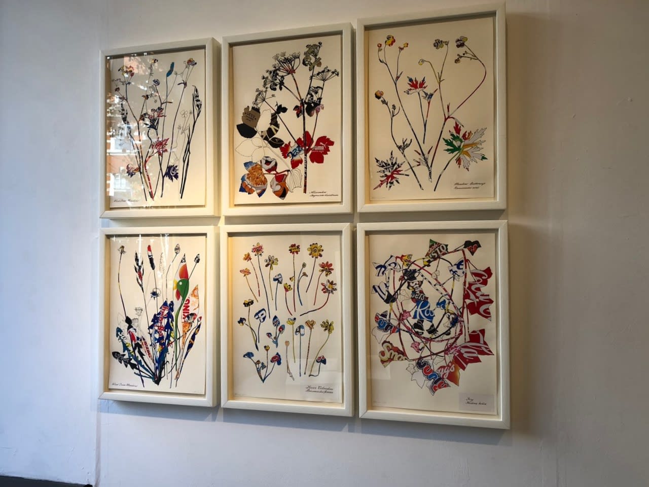 A Study in Botany