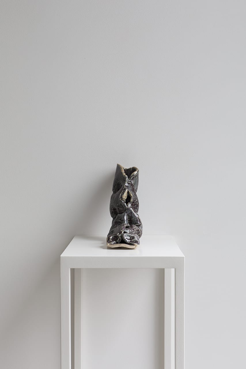 LUCIA PIZZANI: THE WORSHIPPER OF THE IMAGE
