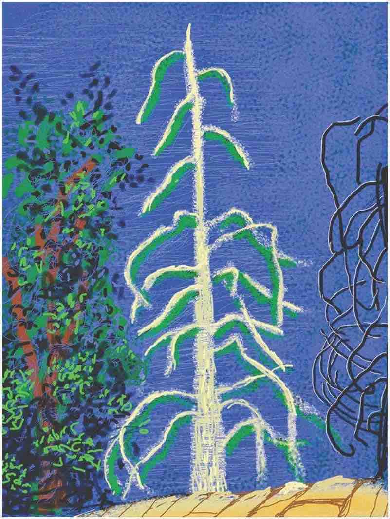 David Hockney, Yosemite Suite, Yosemite No. 14, 2010