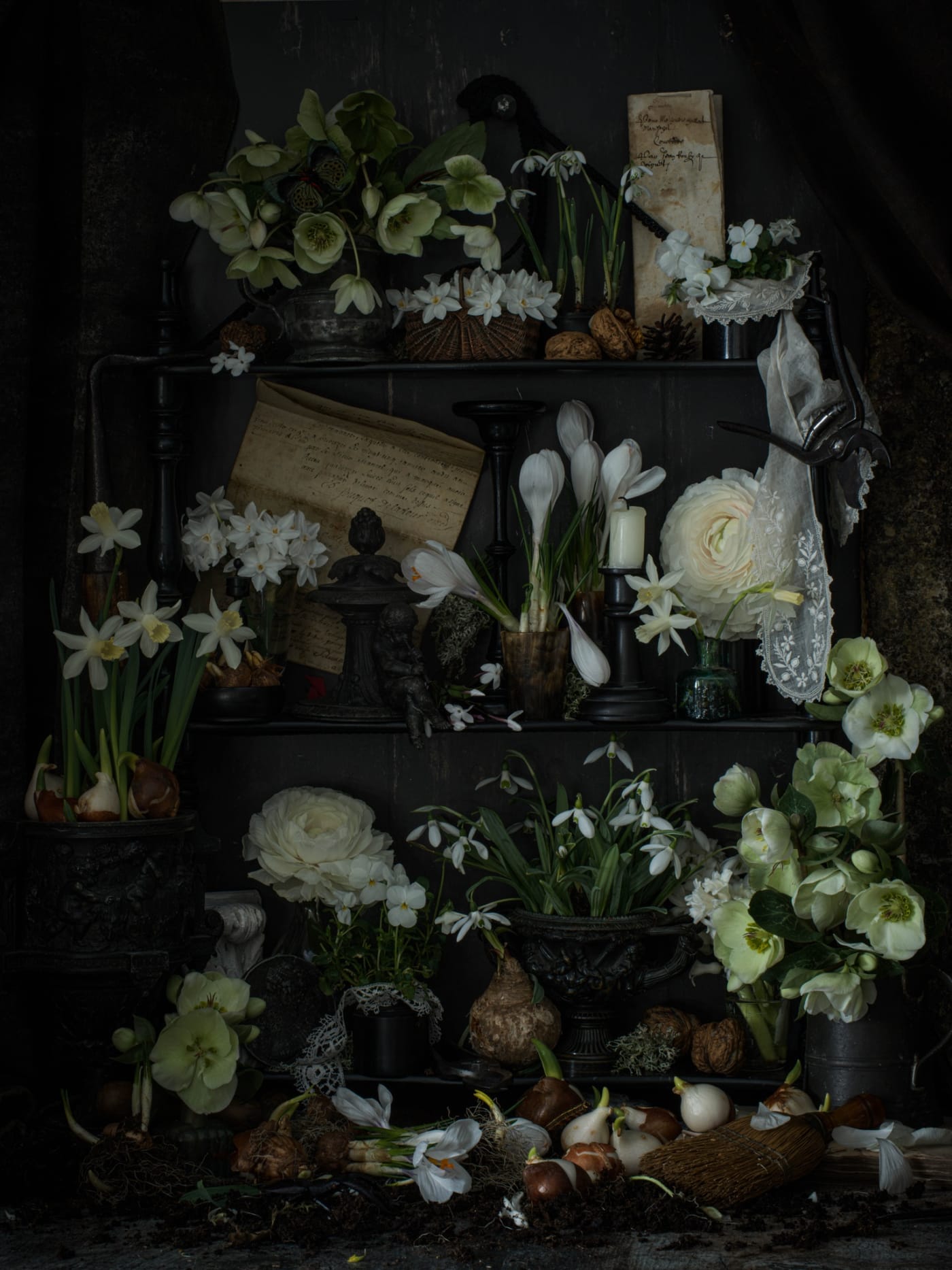 Eternal Bloom