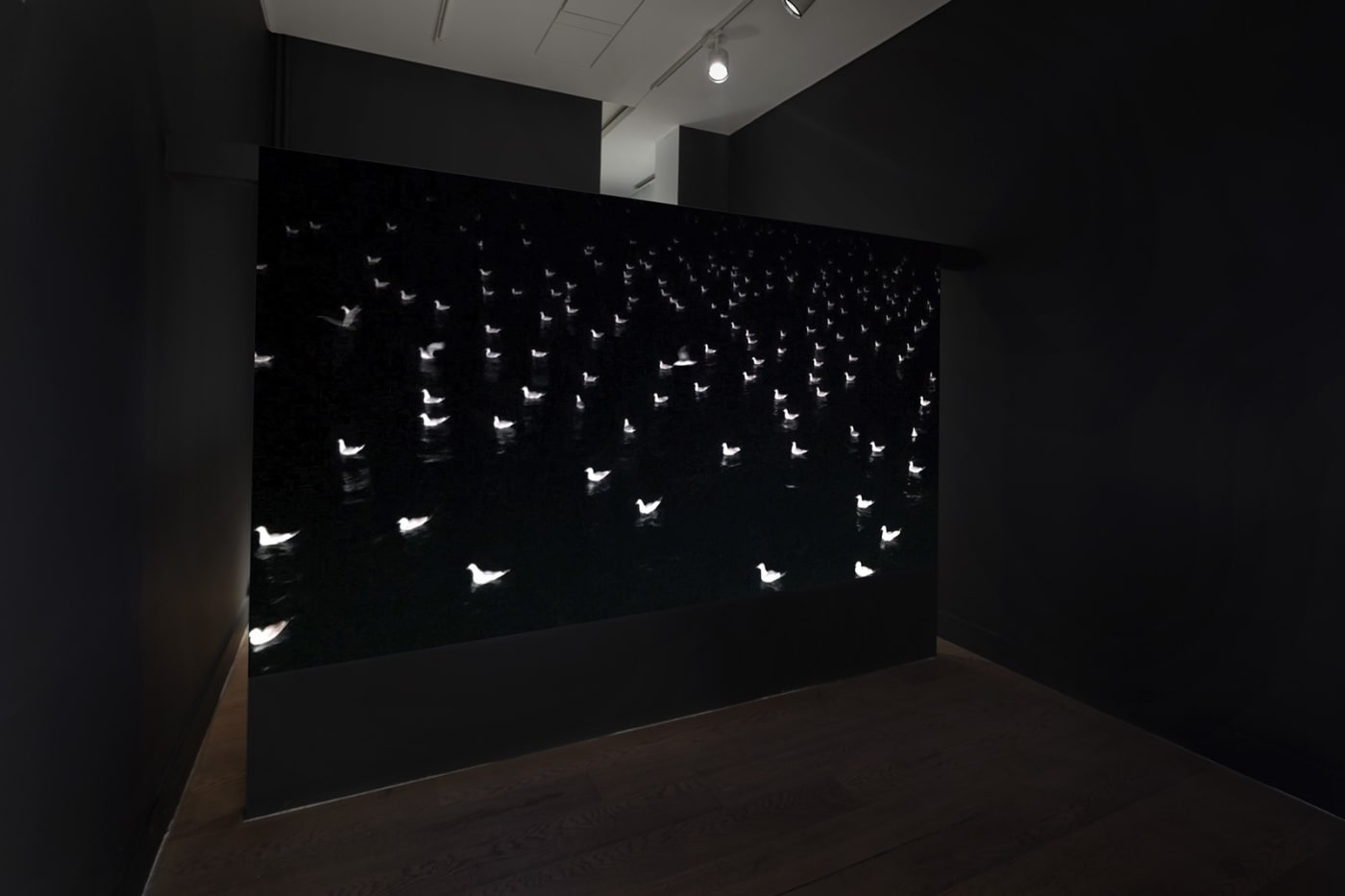 Dark Deep Darkness and Splendor