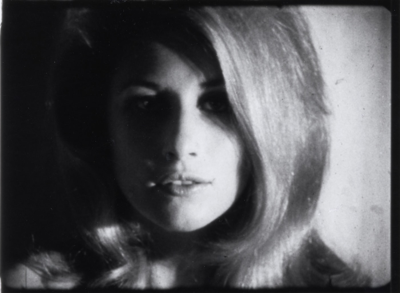 Warhol in Motion