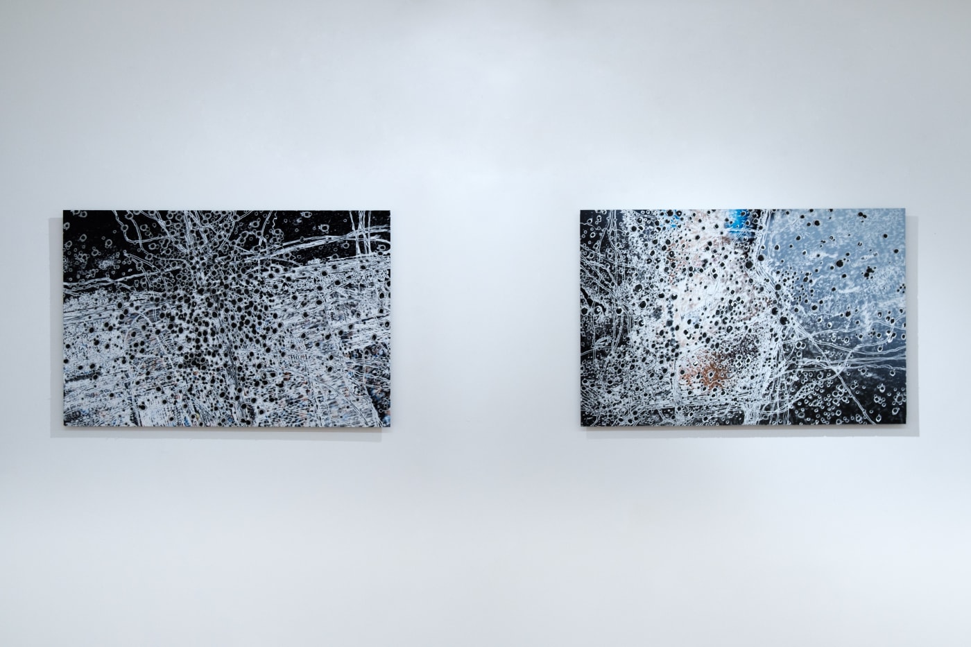 Oleksiy Sai. Exhibition
