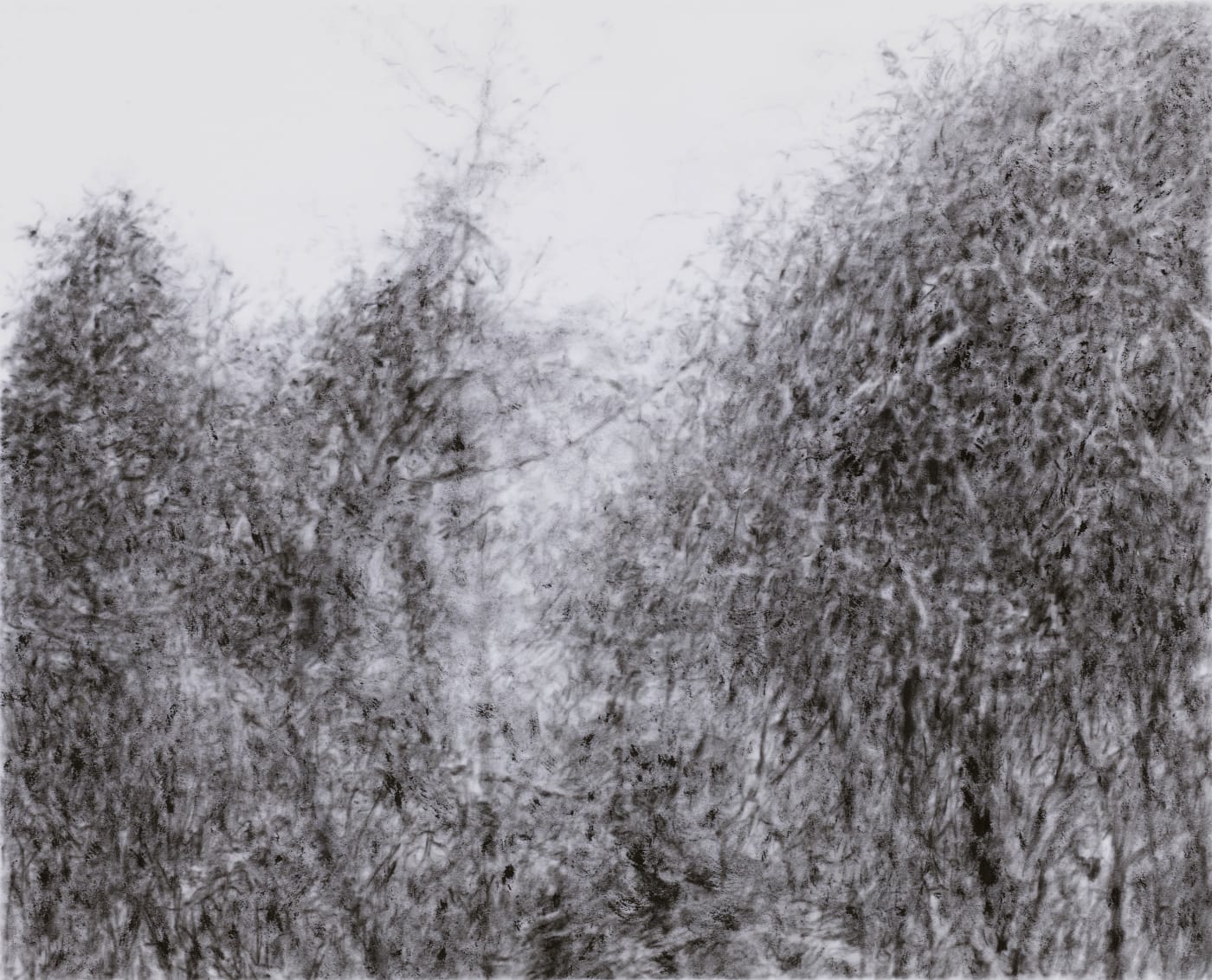 UNTITLED 5962, 2012