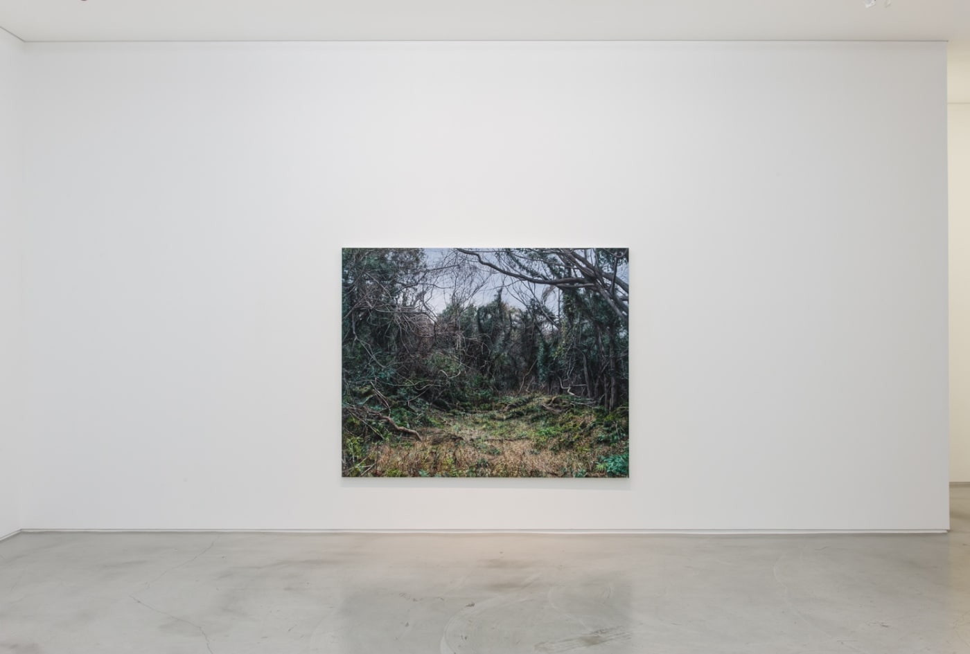 PICTURING LANDSCAPE