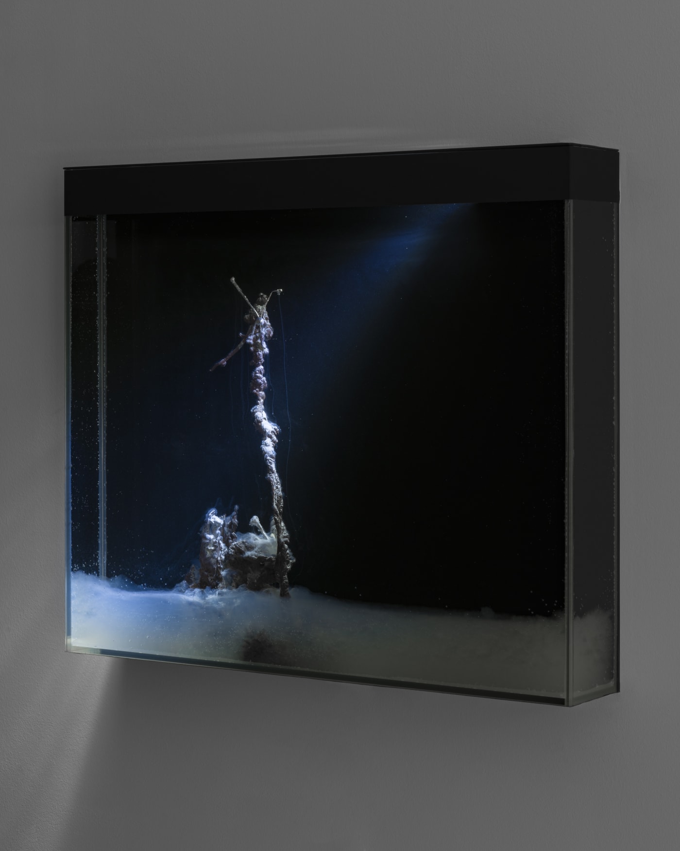 Hicham Berrada – Enclosed Natures