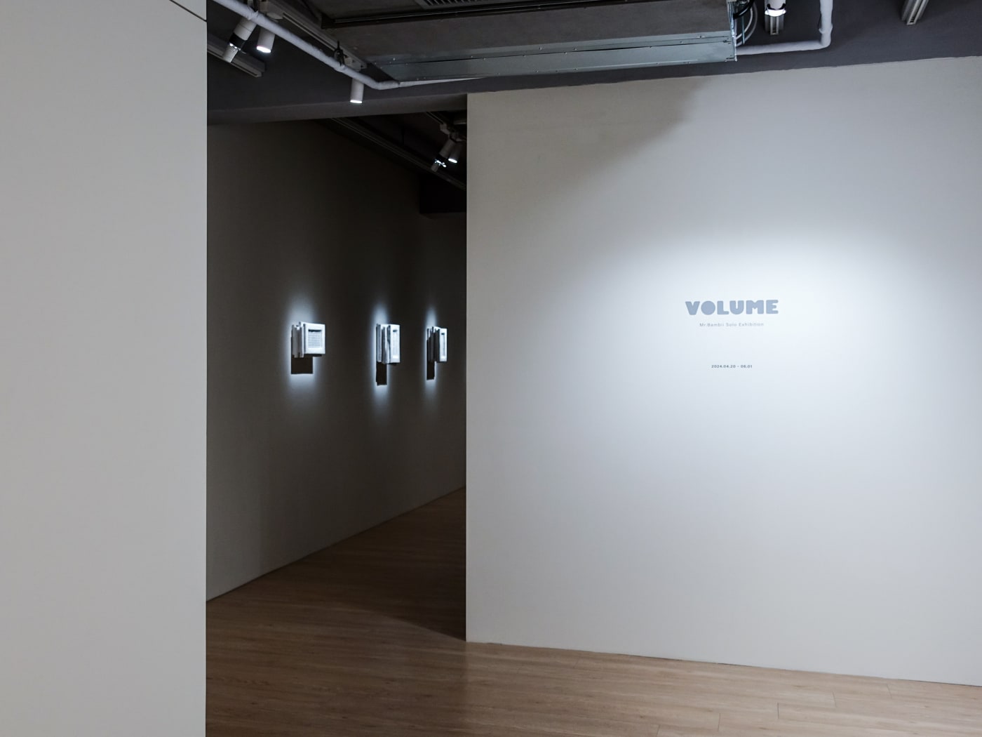 VOLUME: Mr.Bambii Solo Exhibition