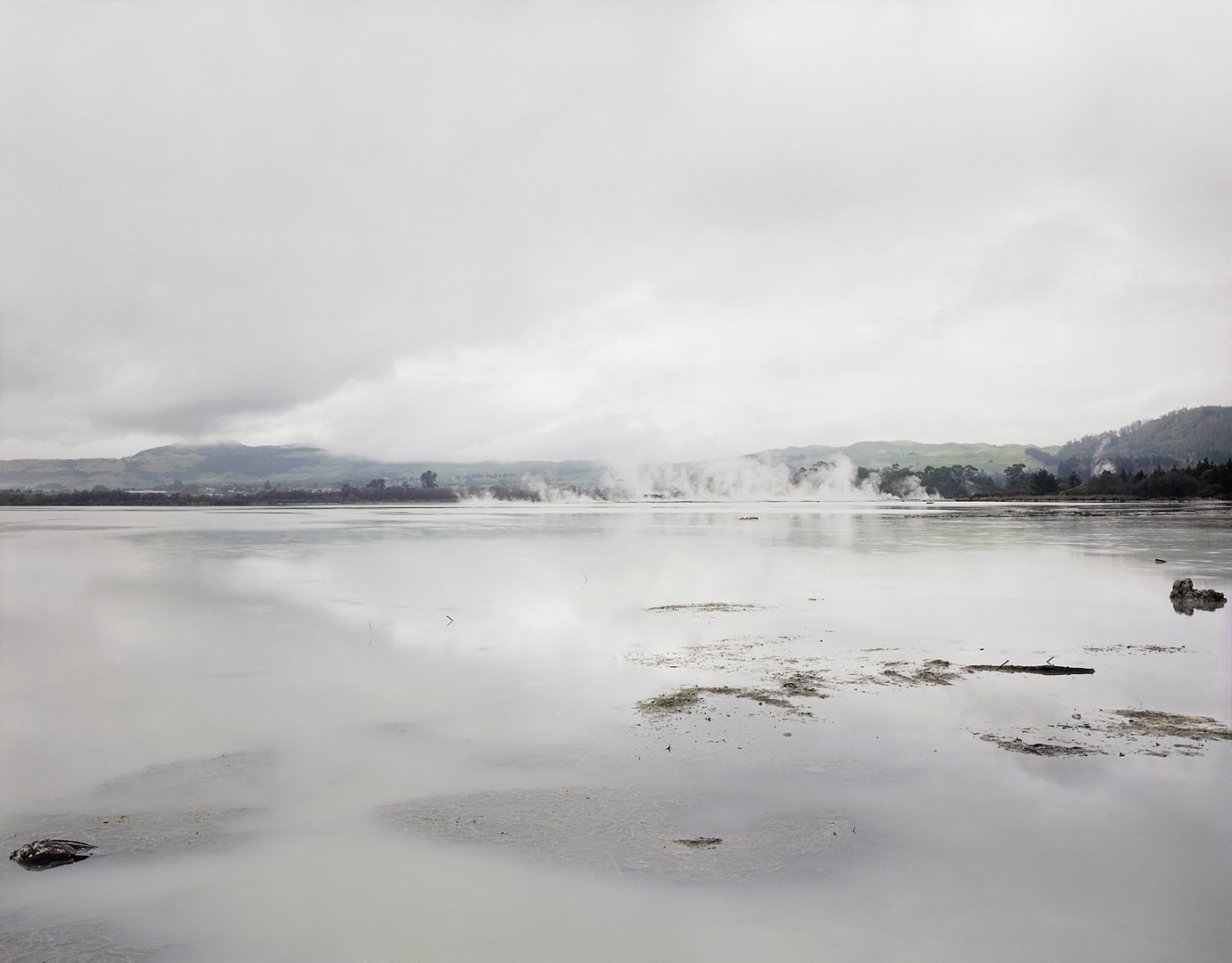 Lake Rotorua, Rotorua, New Zealand, 1995