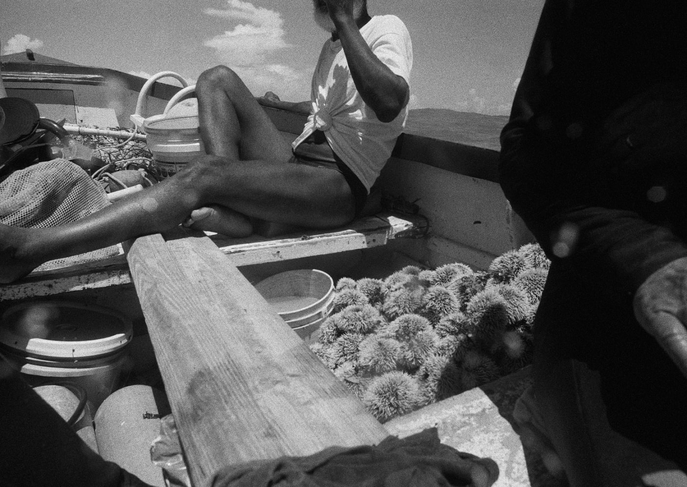 Sea Urchin Divers, Cobblers Reef, Barbados, 2004