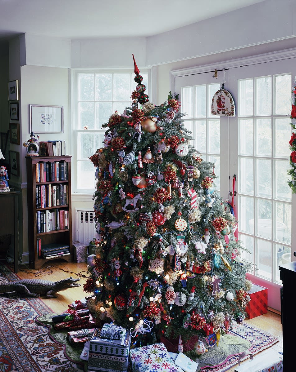 Christmas Tree, Falls Church, Virginia, 2023