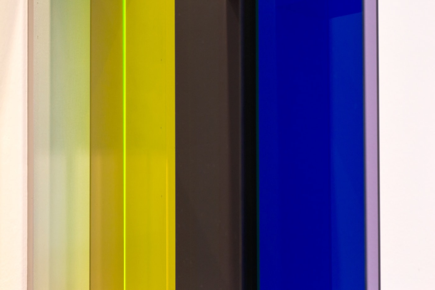 Bettina Bürkle, Yellow Fields, Ausstellungsansicht
