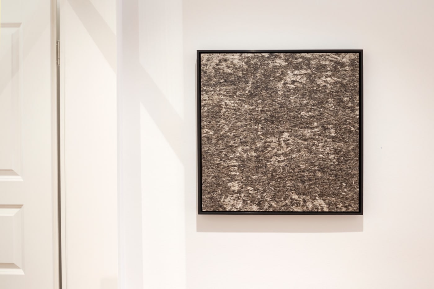 Ausstellungsansicht: After the burn, Konza Prairie Drawings, Erin Wiersma, 2022