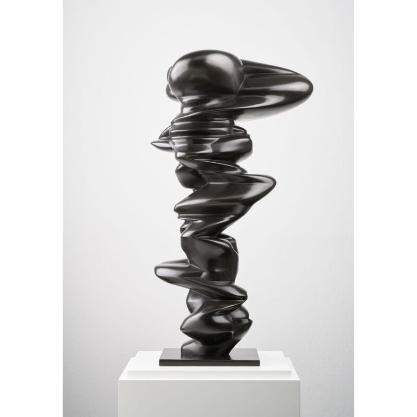 Tony Cragg - Senders III, 2017