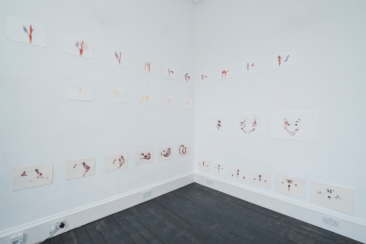 Kate Walters' watercolours on show