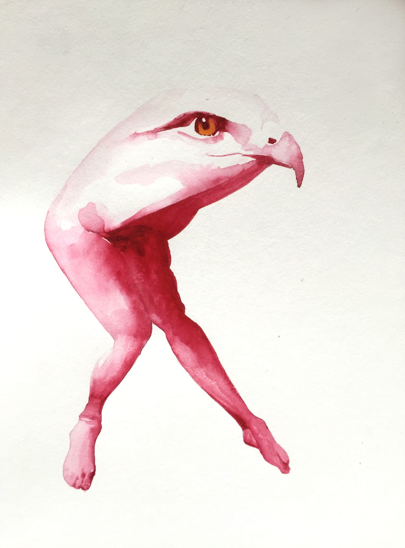 Kirsty Whiten, Eagle, 2019, Watercolour, 35 x 25 cm