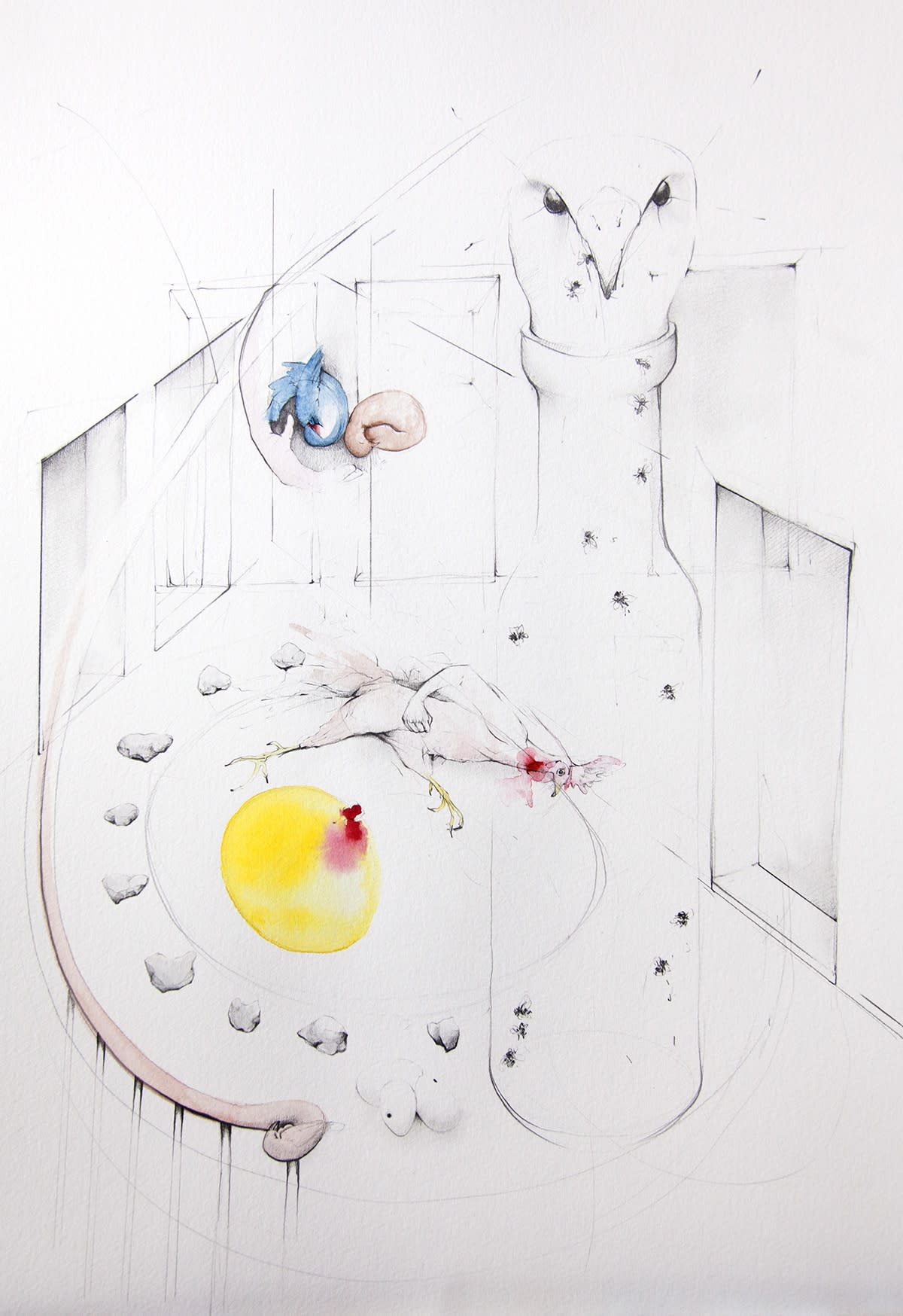 Kirsty Whiten, Intuiative Drawing (Dream Birds), 2019 Pencil and watercolour on paper, 42 x 56 cm