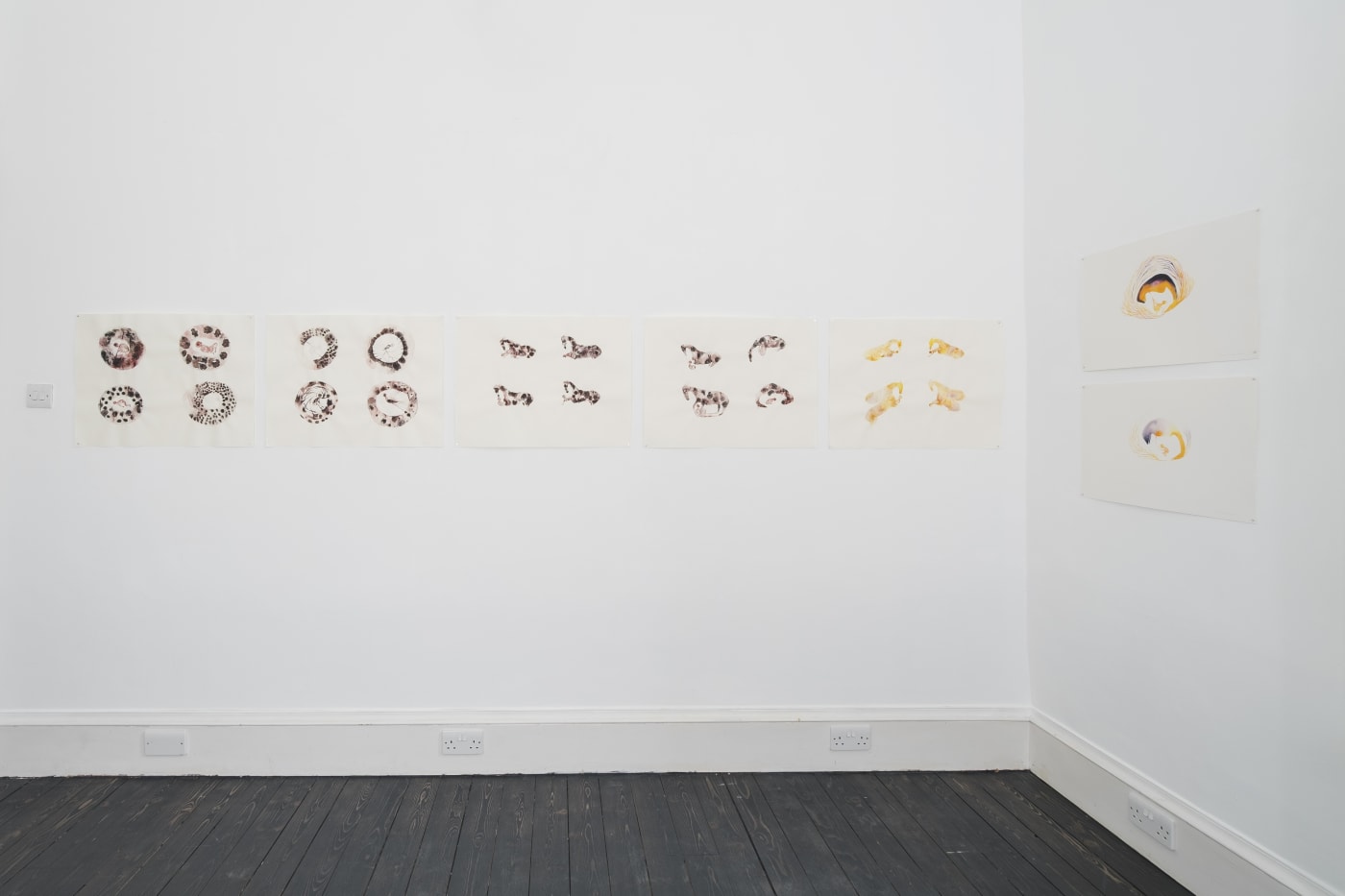 Kate Walters' watercolours on show