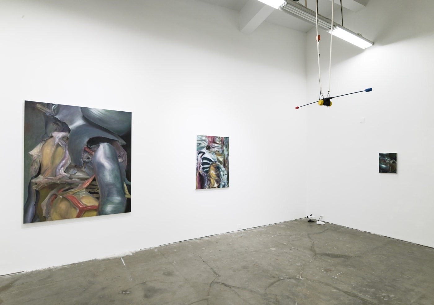 展览现场 - 邵丰田 Installation view - Shao Fengtian
