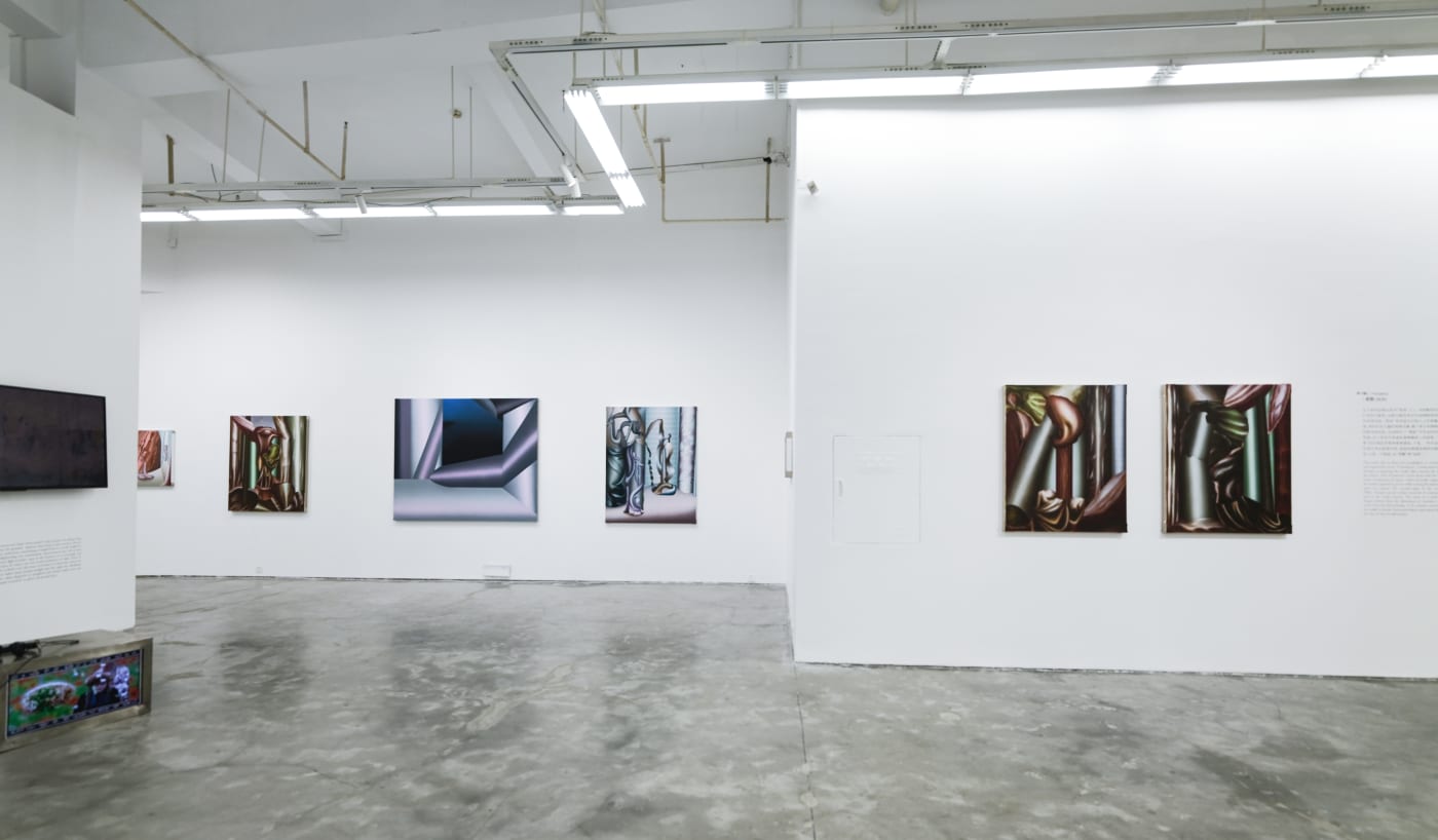 展览现场 - 李小刚 Installation view - Li Xiaogang