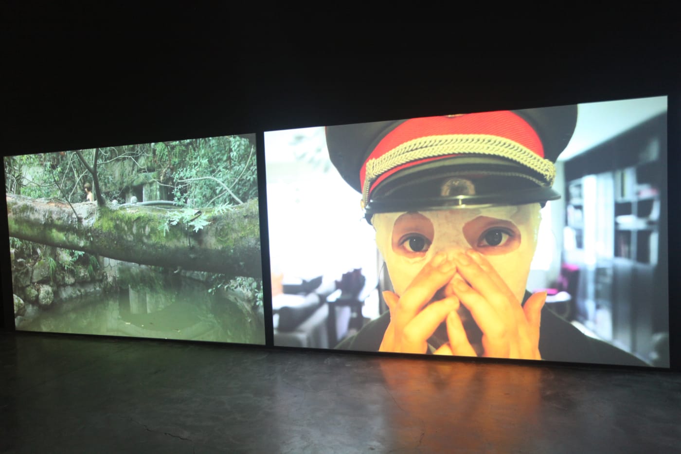 展览现场 Installation view