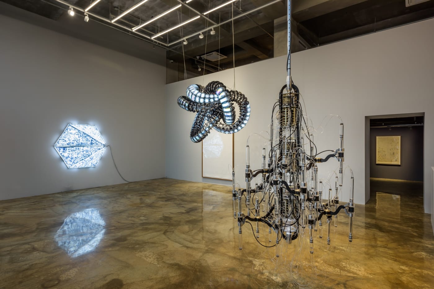 Glare, 2019, Installation View, Barakat Contemporary