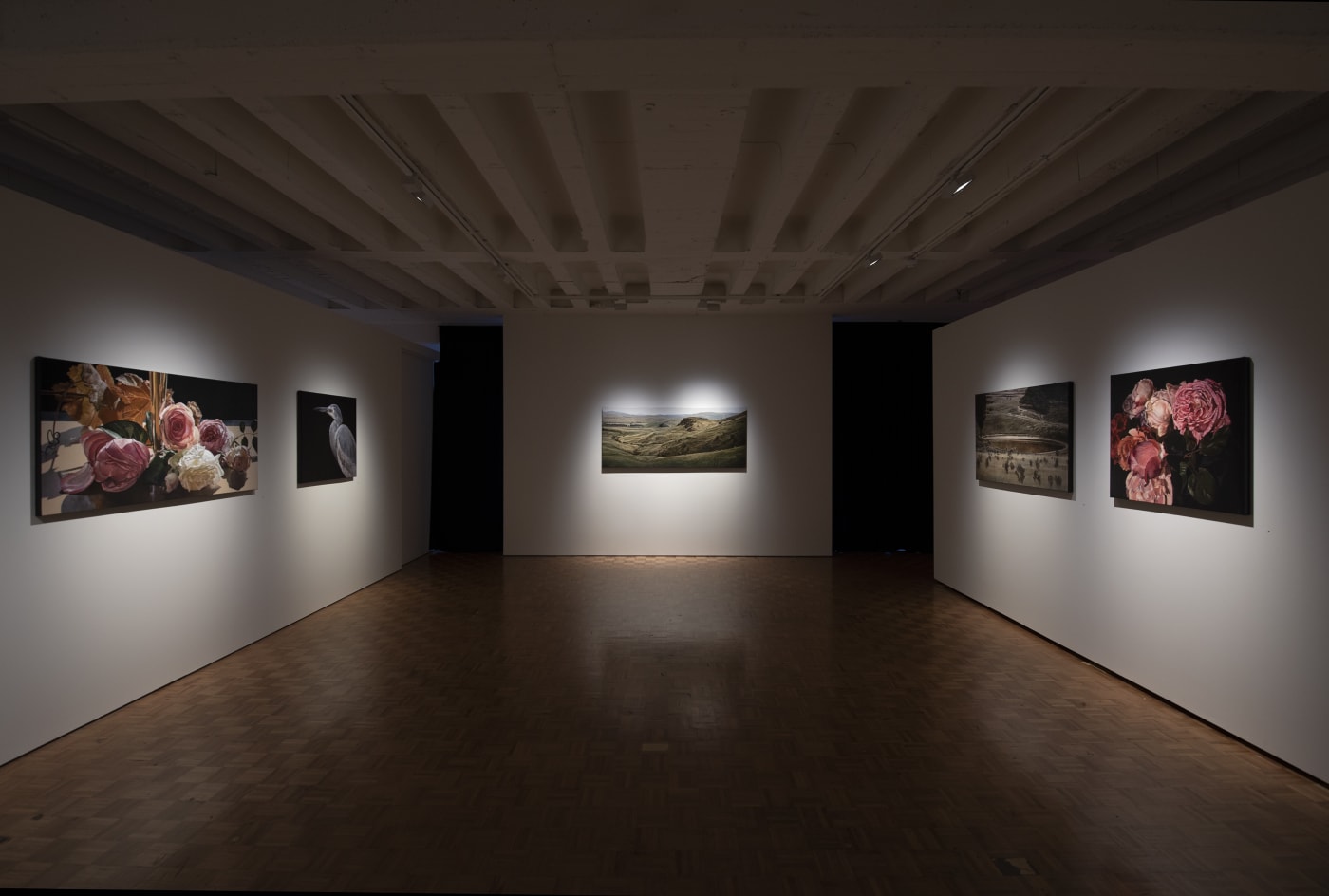 The Long View