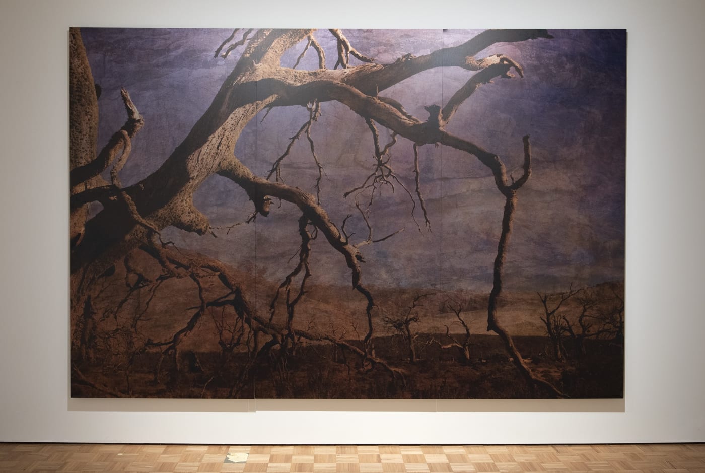 Explore Sydney Contemporary 2021