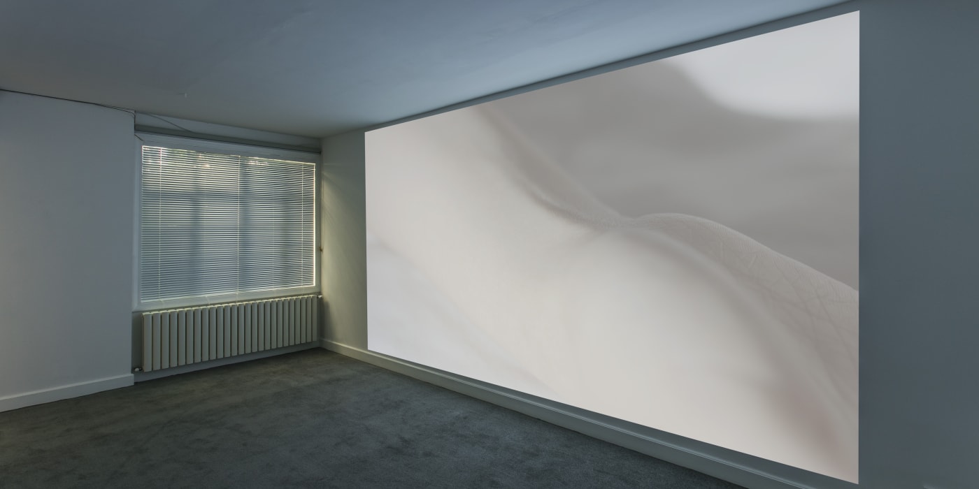 Feng Chen Solo Show