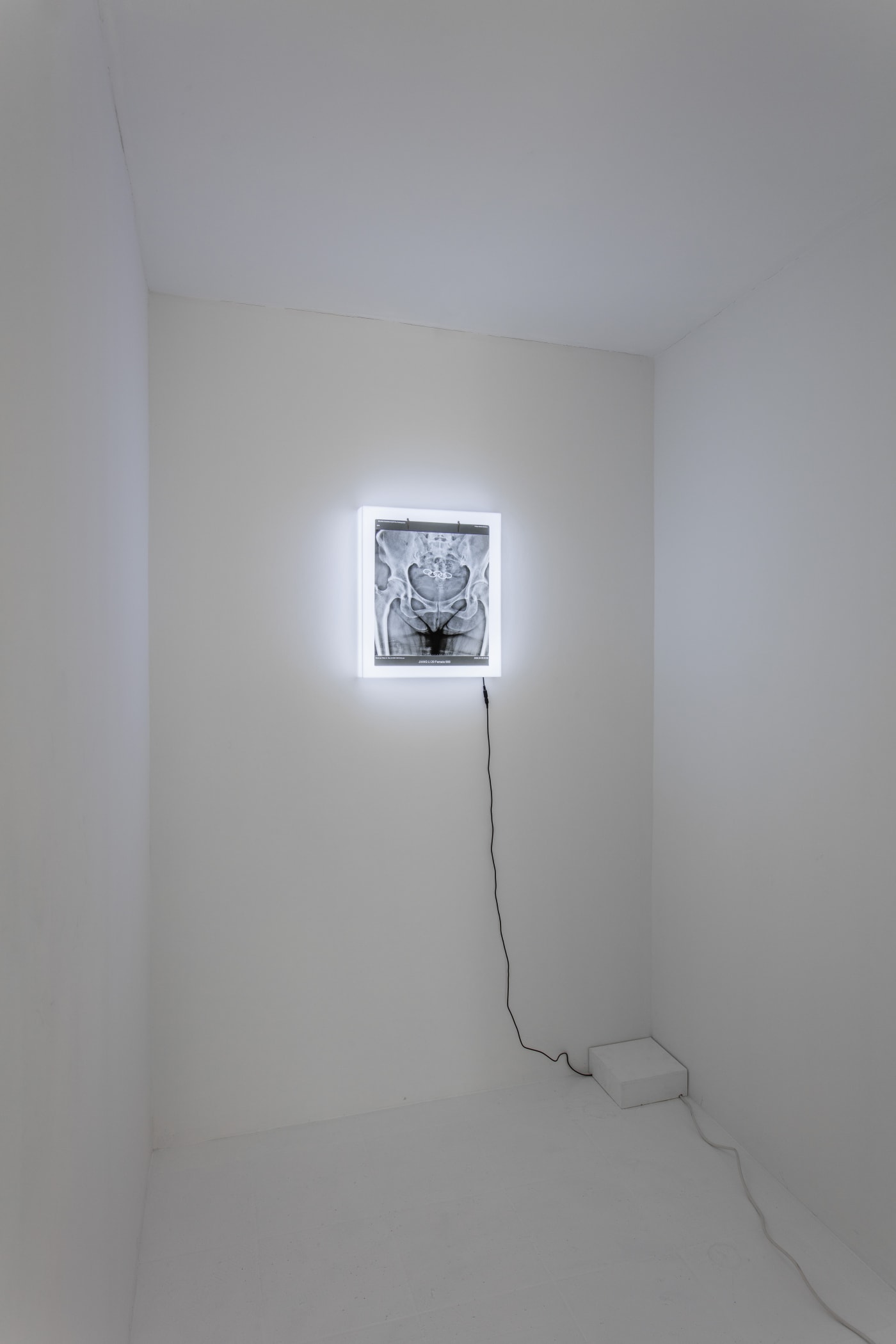 PUT IT IN 放进去 | Jiang Li Solo Exhibition 蒋立个展