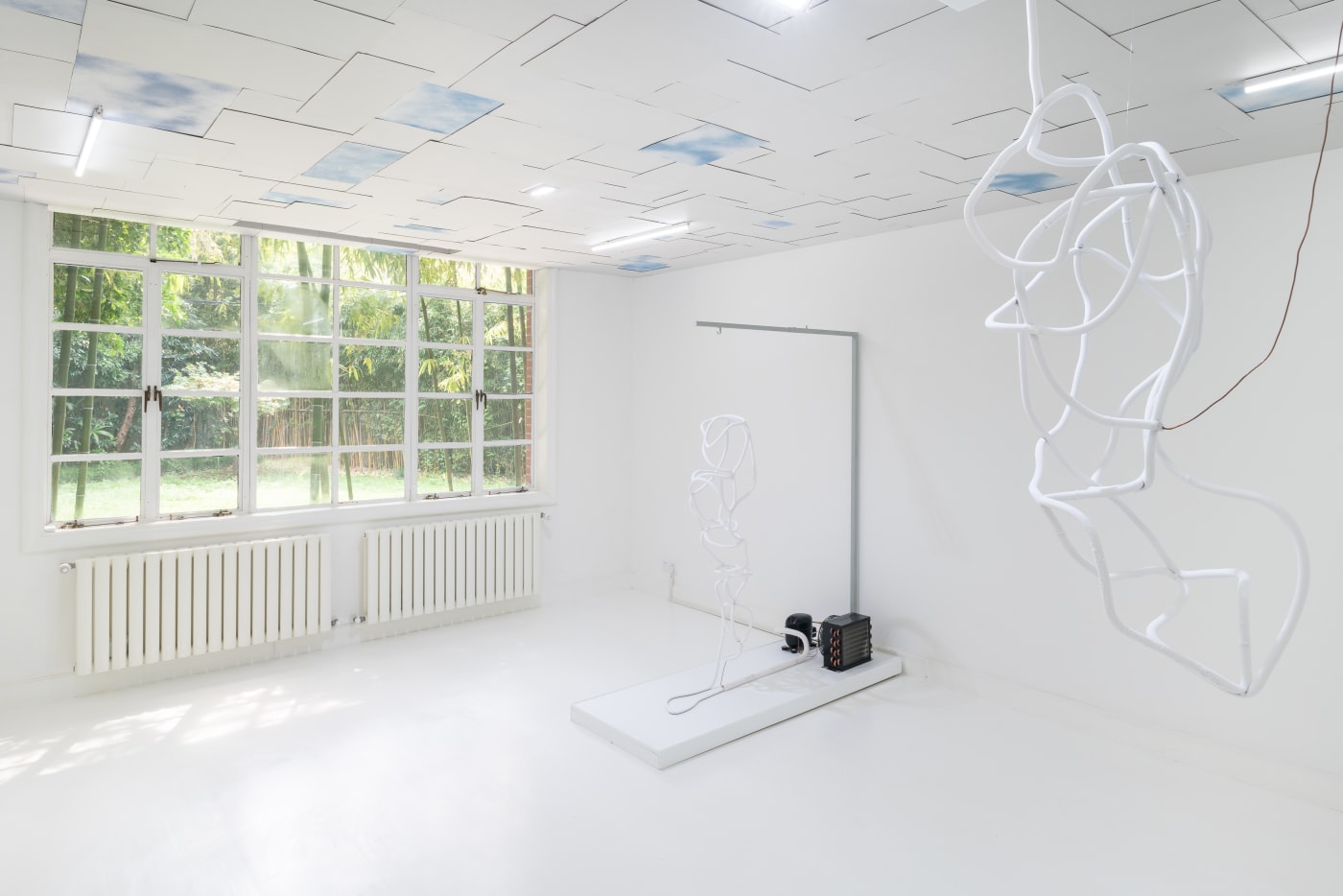 Maya Kramer: Decoy