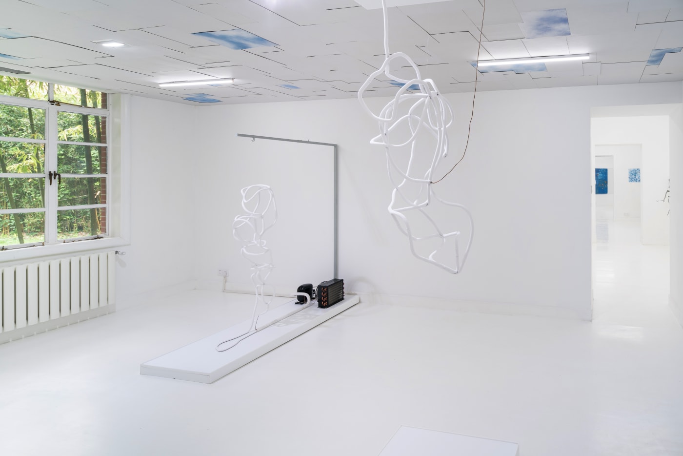 Maya Kramer: Decoy
