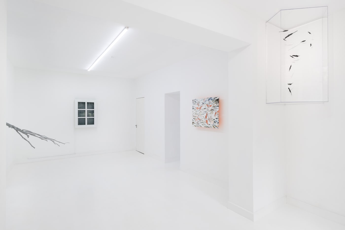 Maya Kramer: Decoy