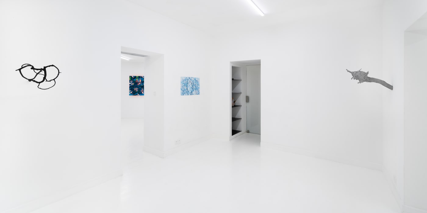 Maya Kramer: Decoy