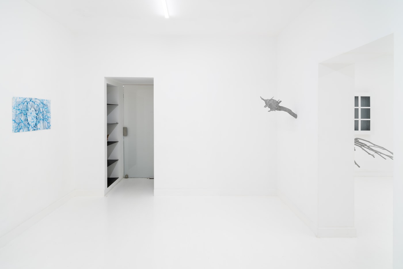 Maya Kramer: Decoy