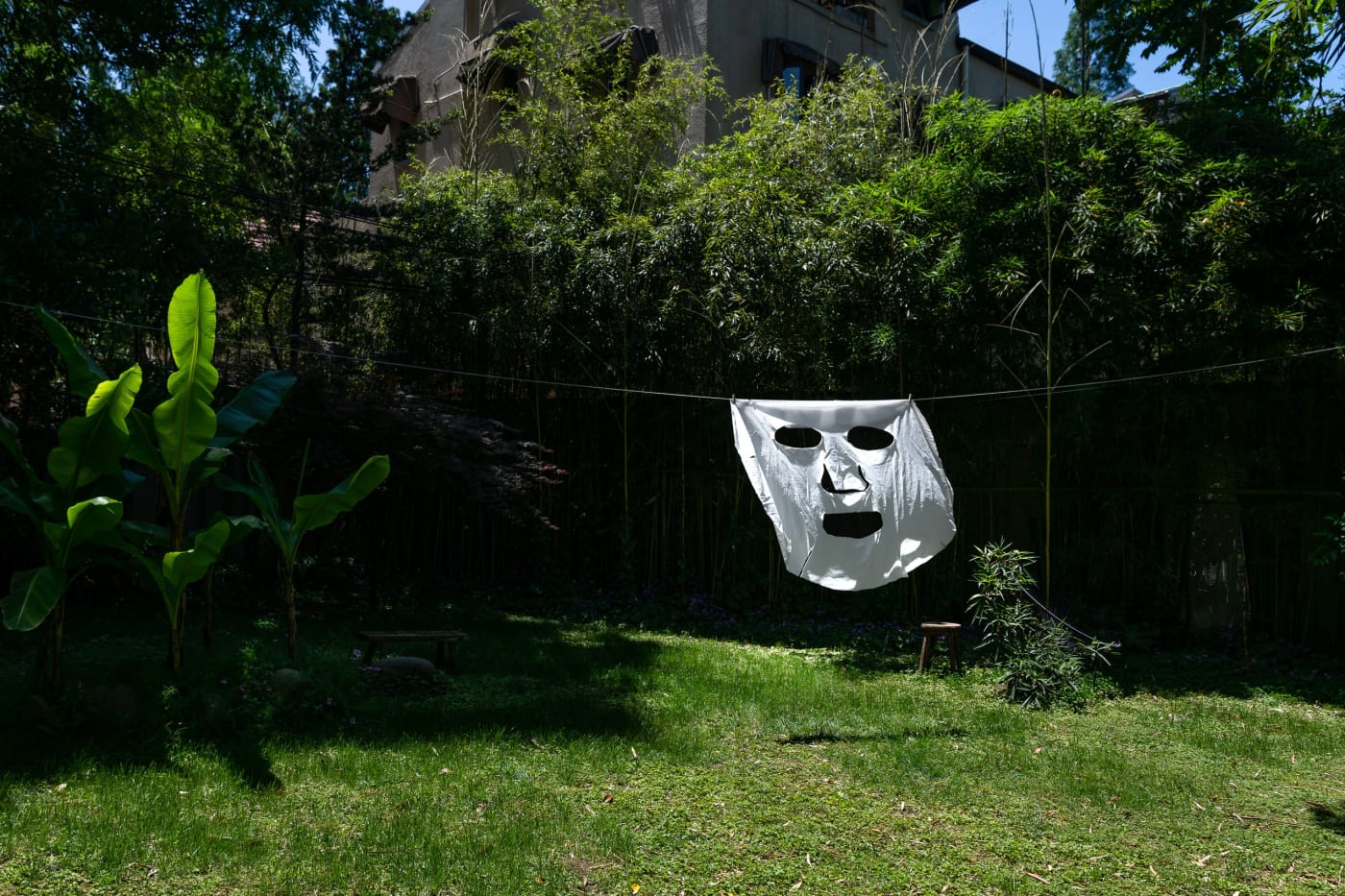 Cai Zebin: A Revisit at 2 bis rue Perrel