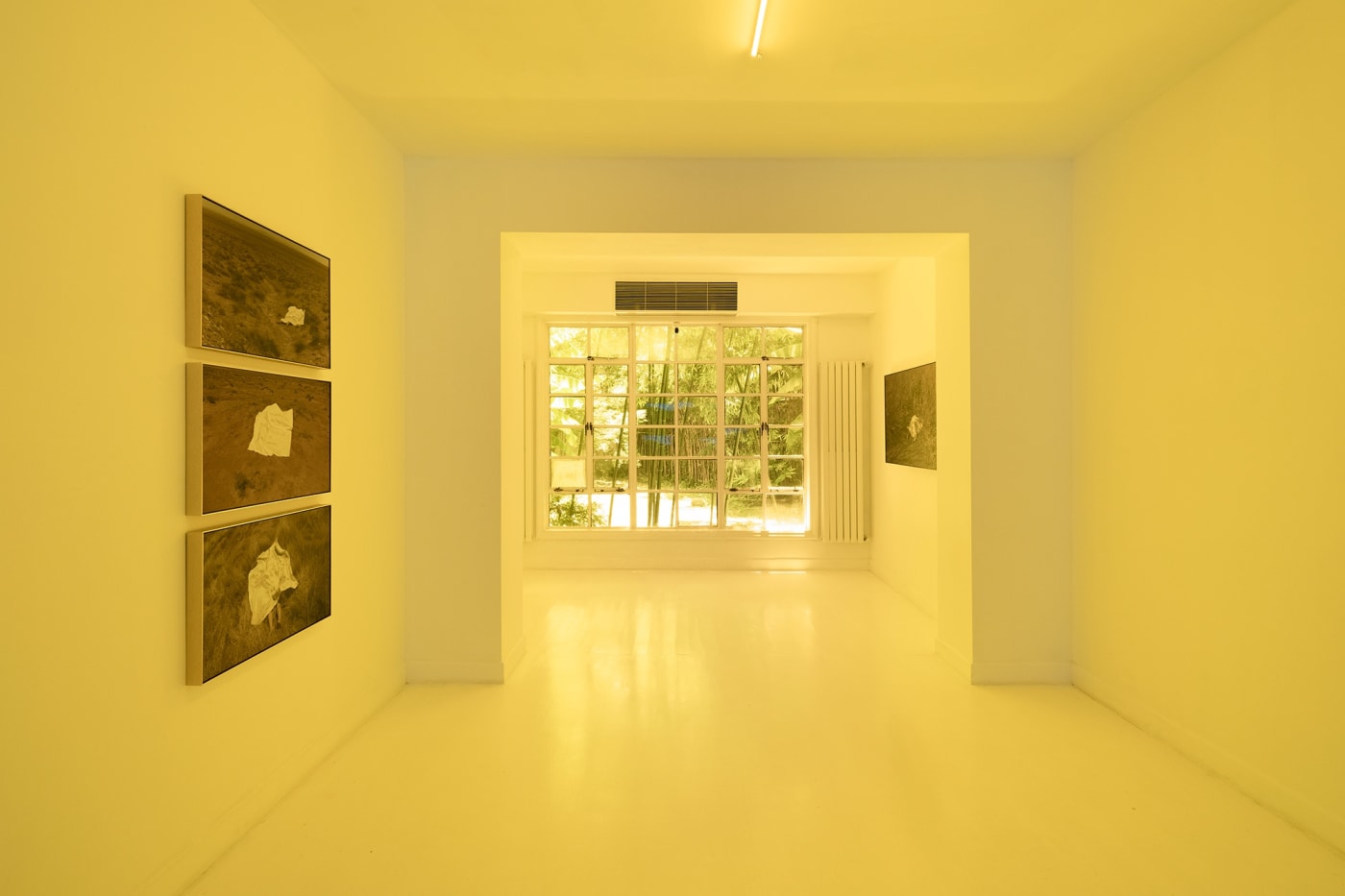 Yao Cong: Flies beyond the Clouds