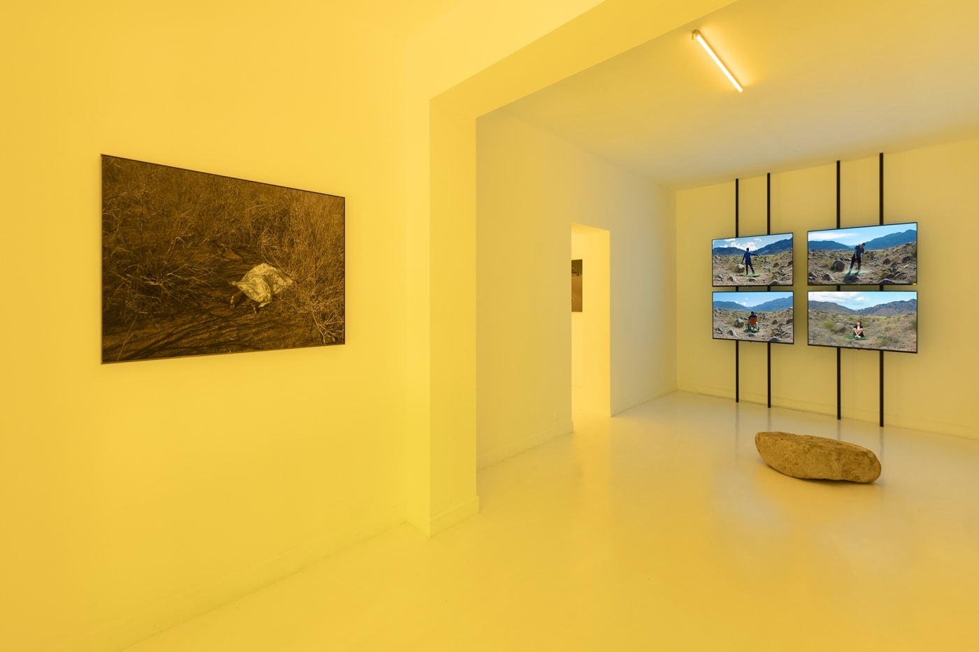 Yao Cong: Flies beyond the Clouds