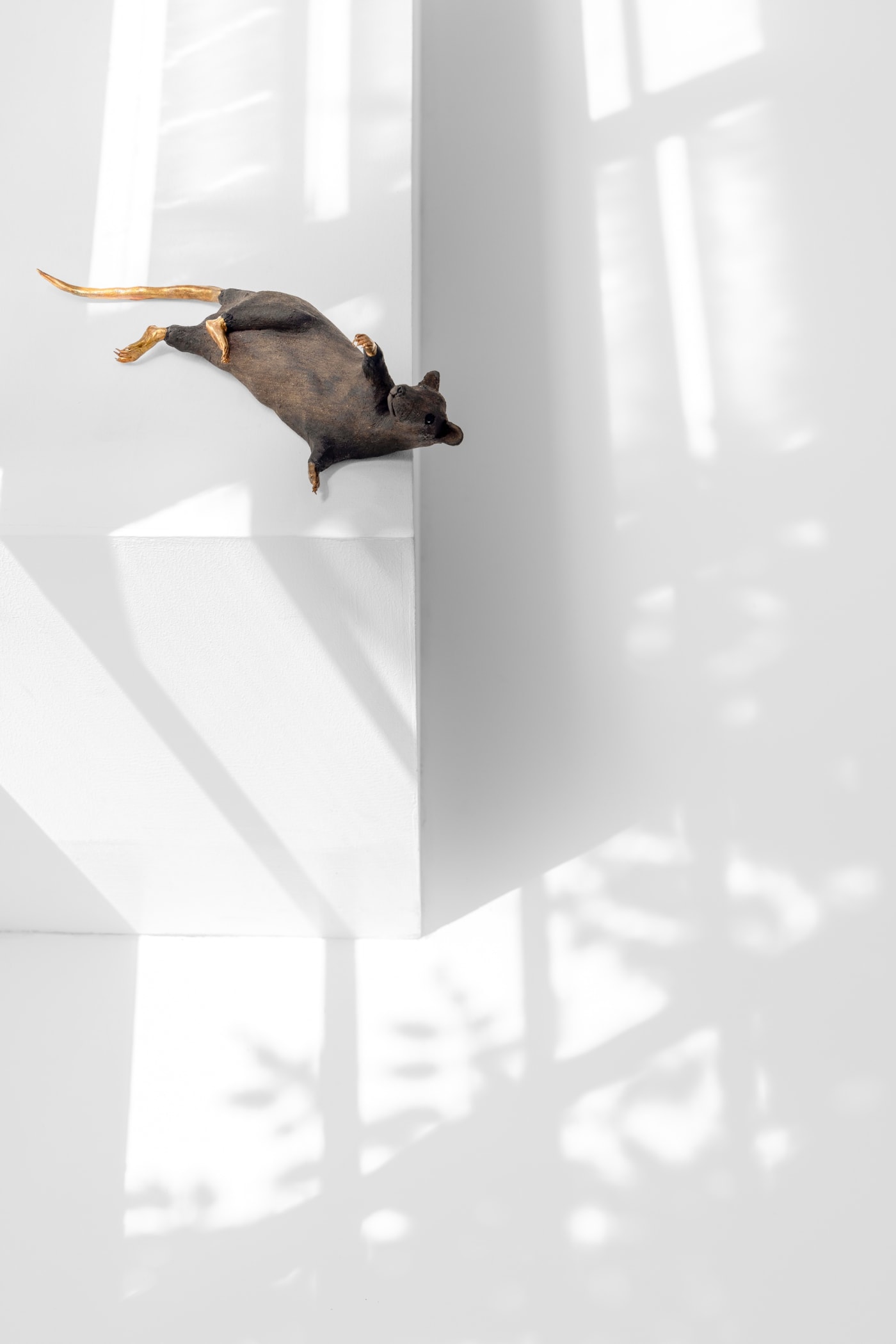 Elizabeth Jaeger: Contempt