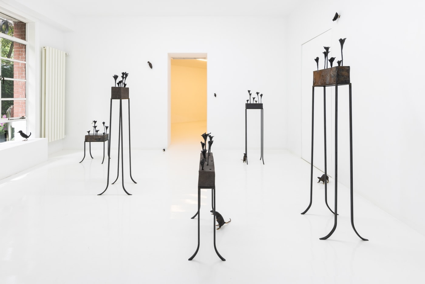 Elizabeth Jaeger: Contempt