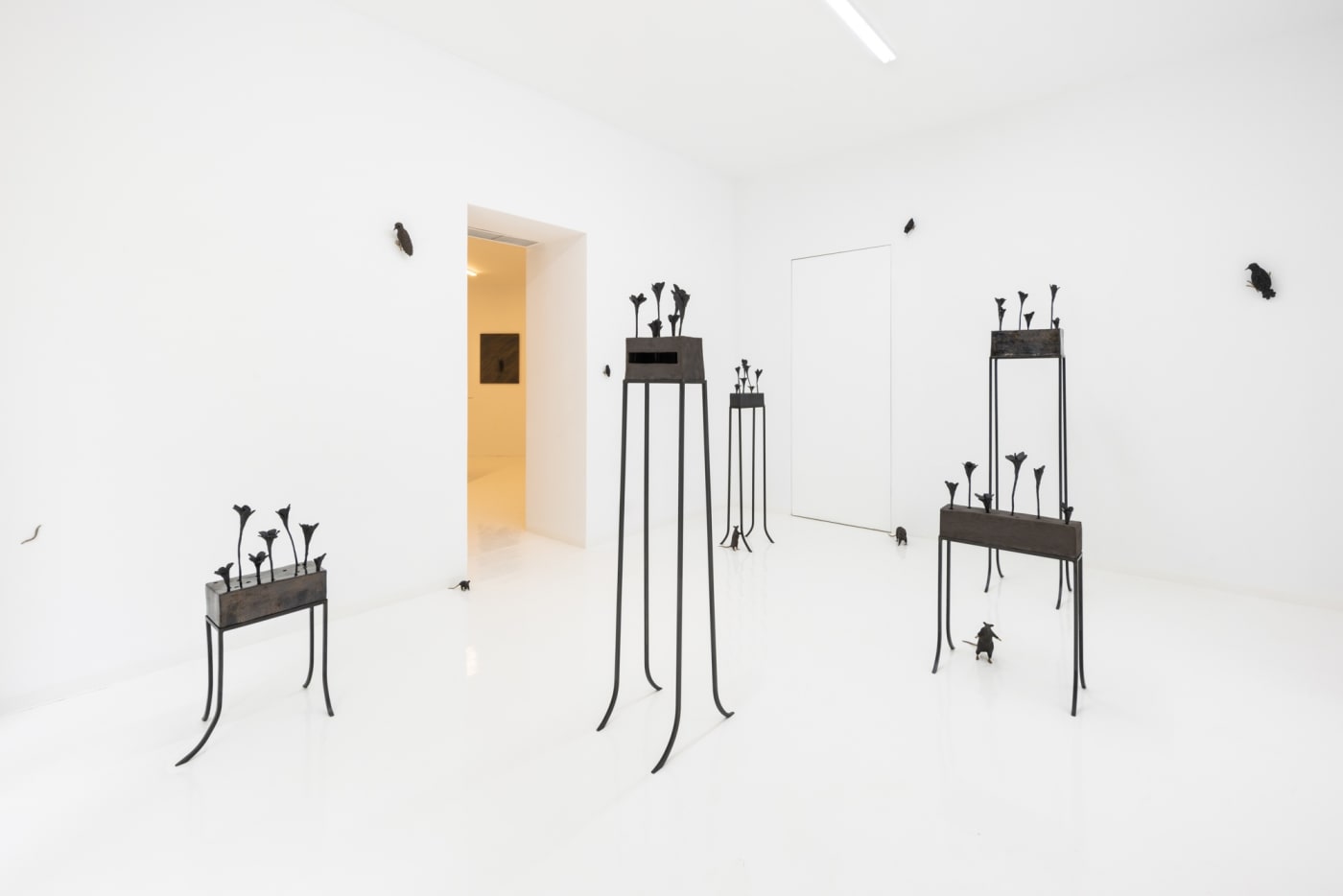 Elizabeth Jaeger: Contempt