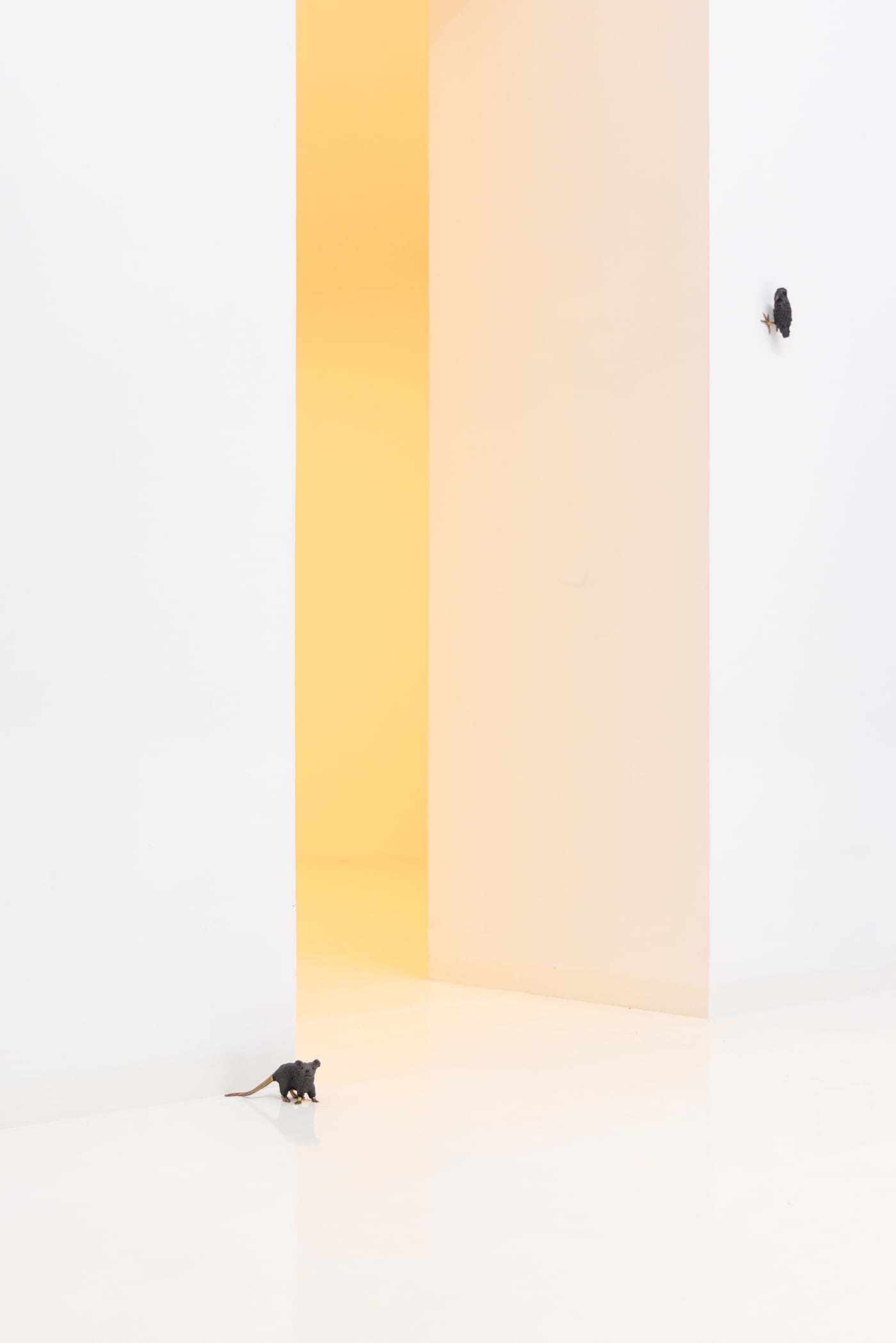 Elizabeth Jaeger: Contempt